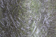 Mangotsfield fibreglass roof work